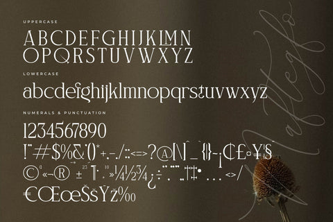 Naftegfo A New Modern Serif Font Storytype Studio 