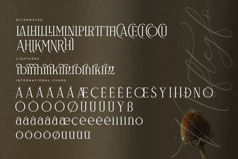 Naftegfo A New Modern Serif Font Storytype Studio 