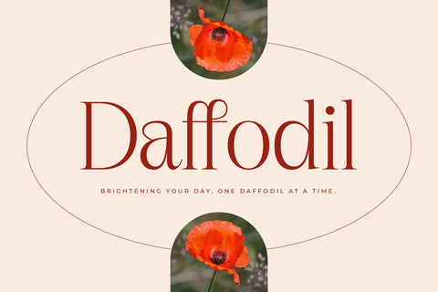 Nagista - Modern Serif Font Font Letterena Studios 