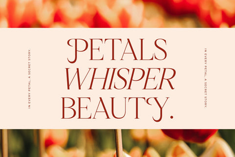 Nagista - Modern Serif Font Font Letterena Studios 