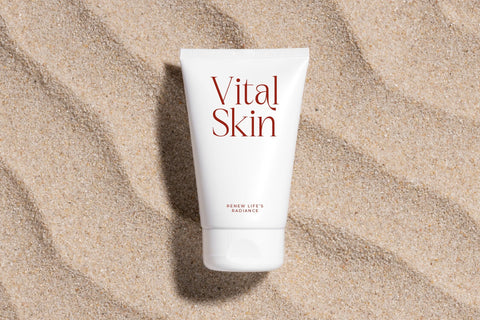 Nagista - Modern Serif Font Font Letterena Studios 