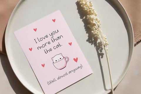 Narhwal Font Cotton White Studio 