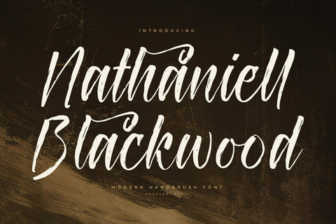 Nathaniell Blackwood - Modern Handbrush Font Font Letterena Studios 