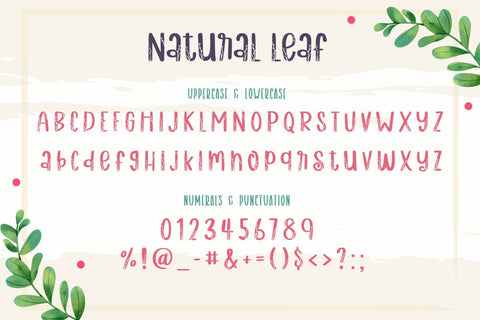 Natural Leaf Font AnningArts Design 