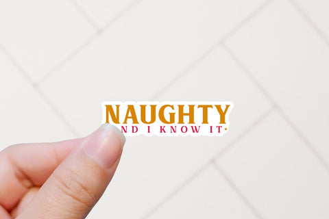 Naughty and I Know It, Funny Christmas Stickers Sublimation CraftLabSVG 