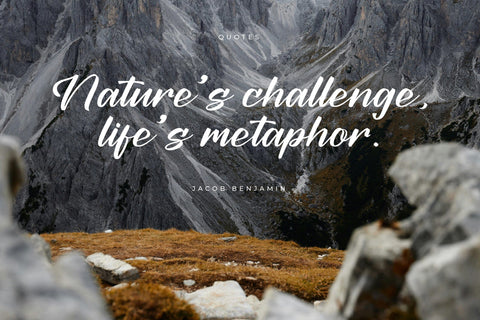 Nautical Prestige - Modern Bold Script Font Font Letterena Studios 