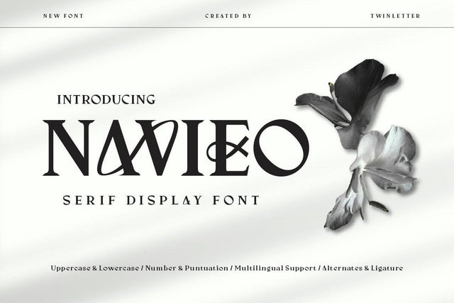 Navieo - Serif Display Font Font twinletter 