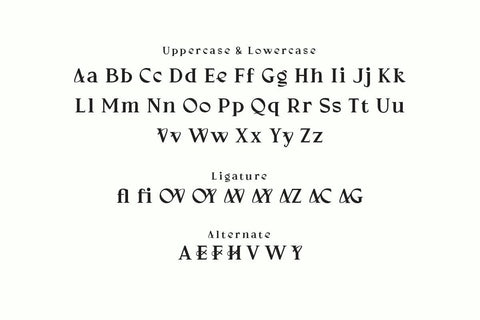 Navieo - Serif Display Font Font twinletter 