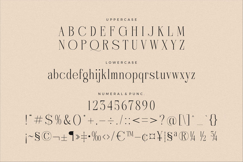 Nebiard - Classic Serif Font - So Fontsy