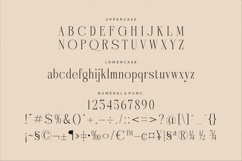 Nebiard - Classic Serif Font Font Storytype Studio 