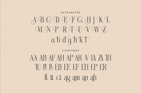 Nebiard - Classic Serif Font Font Storytype Studio 