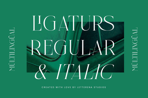 Nelhinco - Modern Display Serif Font Letterena Studios 