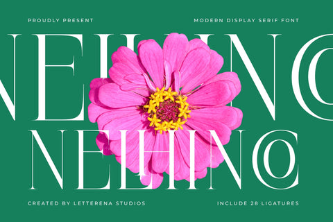 Nelhinco - Modern Display Serif Font Letterena Studios 