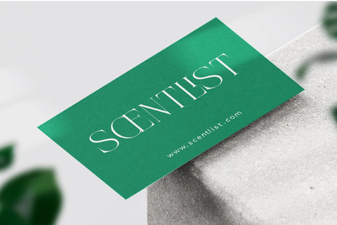 Nelhinco - Modern Display Serif Font Letterena Studios 