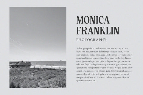 Nelington - Nostalgic Serif Font Font studioalmeera 