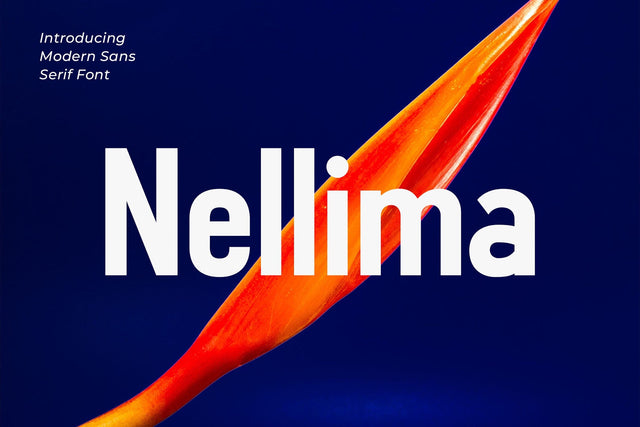 Nellima - Modern Sans Serif Font Font studioalmeera 
