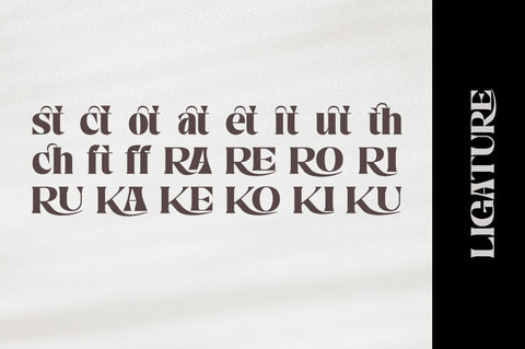 Nelona Serif Font Megatype 