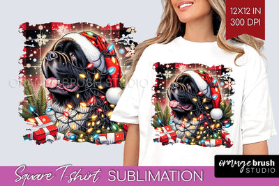Newfoundland Christmas Dog Square Tshirt PNG Sublimation OrangeBrushStudio 