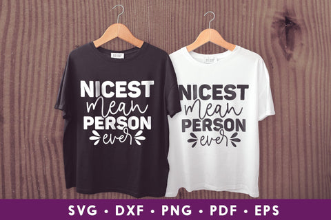 Nicest Mean Person Ever - Sarcastic Quote SVG SVG CraftLabSVG 