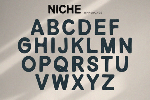 Niche - Rough Display Font Alpaprana Studio 