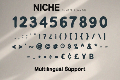 Niche - Rough Display Font Alpaprana Studio 