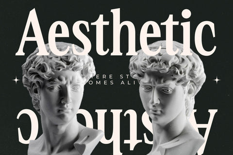 Nightbor - Modern Display Serif Font Letterena Studios 