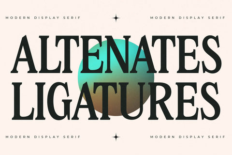 Nightbor - Modern Display Serif Font Letterena Studios 