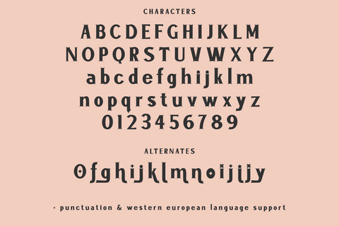 Nightmarish Serif Font Font Beck McCormick 