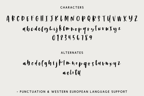 Nightwatch Script Font Beck McCormick 