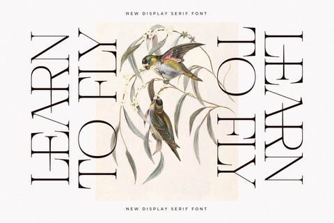 Nocashe – New Display Serif Font Font Storytype Studio 