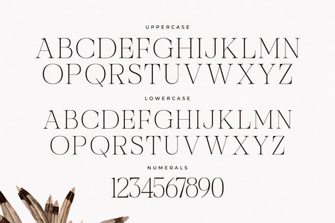 Nocashe – New Display Serif Font Font Storytype Studio 