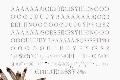 Nocashe – New Display Serif Font Font Storytype Studio 