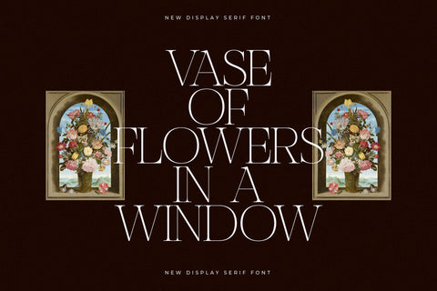 Nocashe – New Display Serif Font Font Storytype Studio 