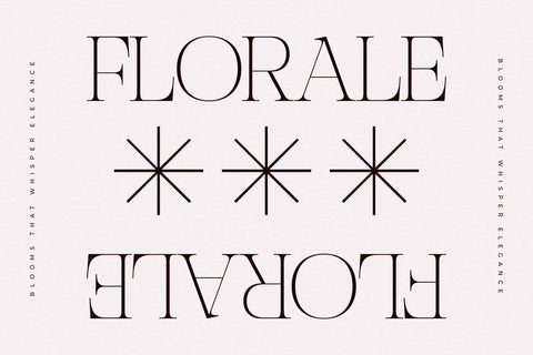 Nocashe – New Display Serif Font Font Storytype Studio 