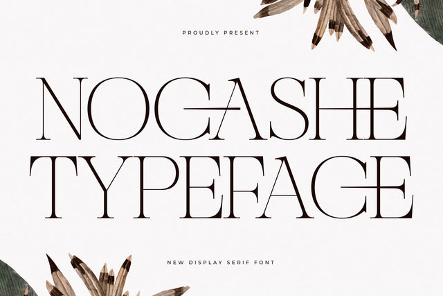 Nocashe – New Display Serif Font Font Storytype Studio 