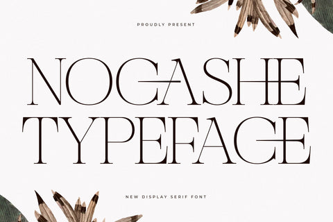 Nocashe – New Display Serif Font Font Storytype Studio 