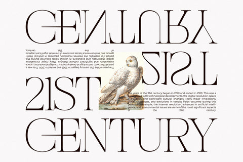 Nocashe – New Display Serif Font Font Storytype Studio 