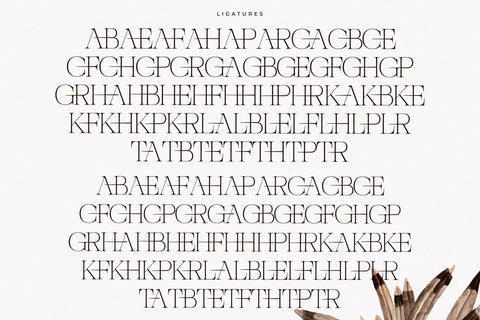 Nocashe – New Display Serif Font Font Storytype Studio 