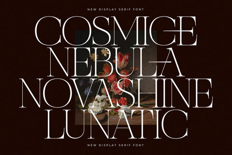 Nocashe – New Display Serif Font Font Storytype Studio 
