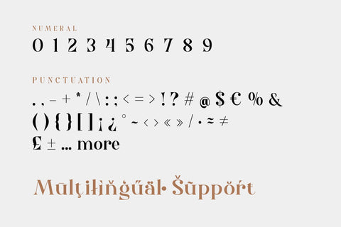 Nolaten - Serif Display Font Font twinletter 