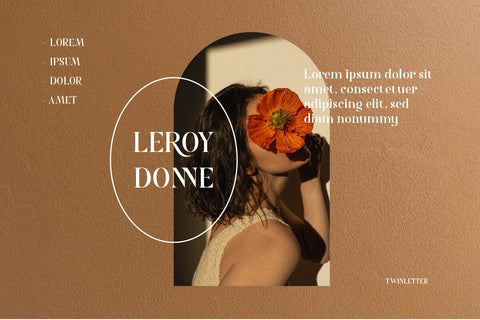 Nolaten - Serif Display Font Font twinletter 