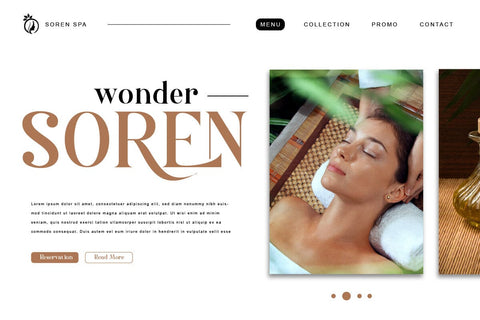 Nolaten - Serif Display Font Font twinletter 