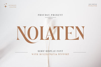 Nolaten - Serif Display Font Font twinletter 