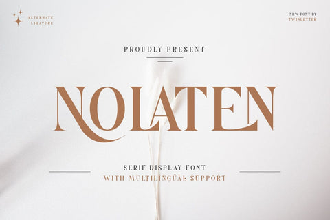 Nolaten - Serif Display Font Font twinletter 