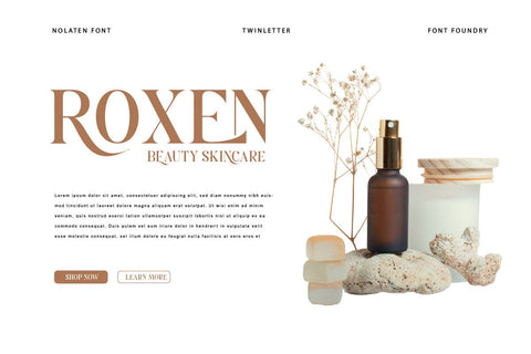 Nolaten - Serif Display Font Font twinletter 