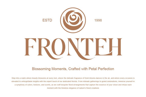 Nolaten - Serif Display Font Font twinletter 