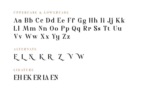 Nolaten - Serif Display Font Font twinletter 