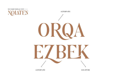 Nolaten - Serif Display Font Font twinletter 
