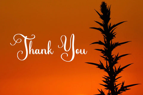 Nomenclature Font Abo Daniel Studio 