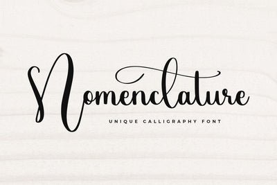 Nomenclature Font Abo Daniel Studio 